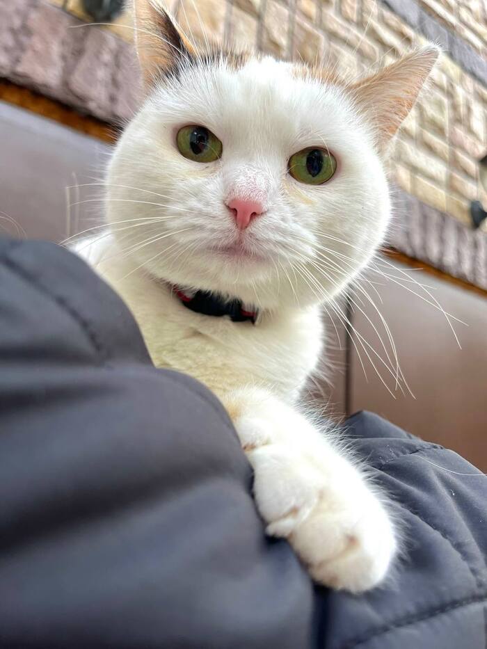 ,    , ,  ,  ,  ,  , 