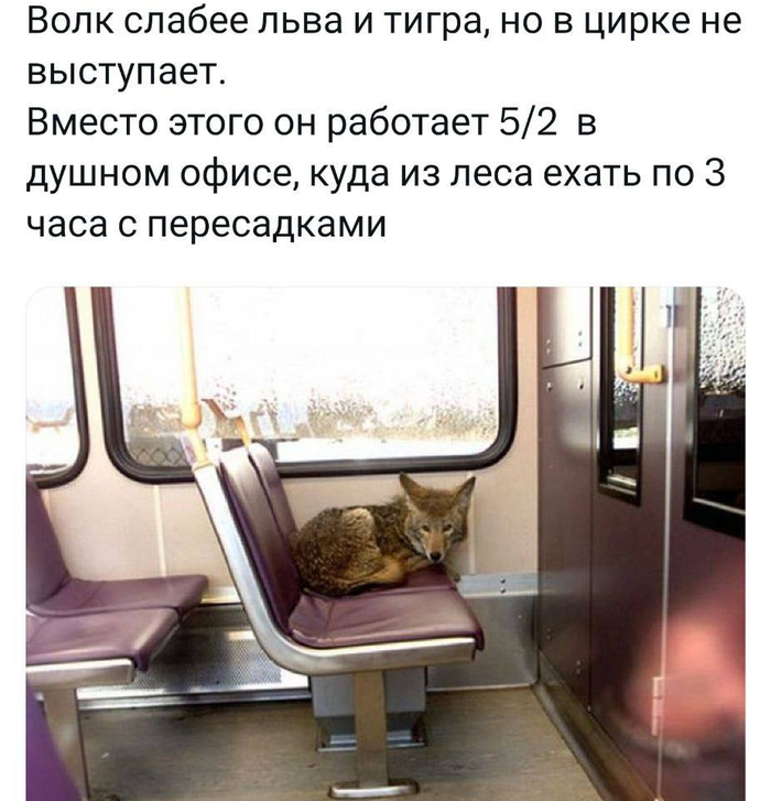 -      ,   ,   ,  , , 