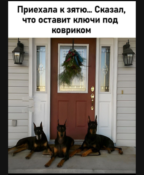      , ,   , ,   