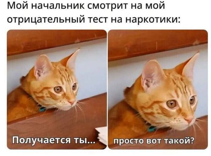 Нормальные сюда и не планировали наниматься