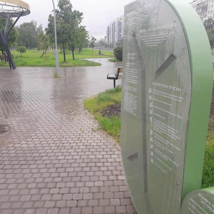    ,  08.06.2025 -, ,   , ,  , 