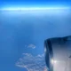 ������ ������������ 01001.100101