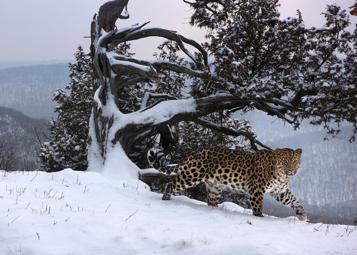  -      .      ,   ,           .