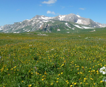 ����������� � ������ 2025