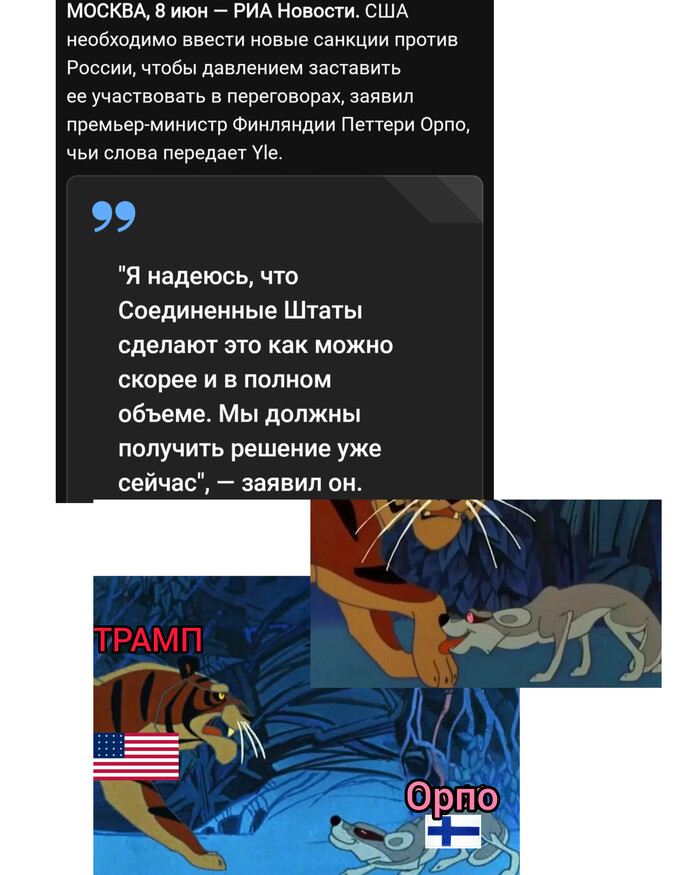"Уже сейчас". Премьер Финляндии выступил с дерзким планом против России