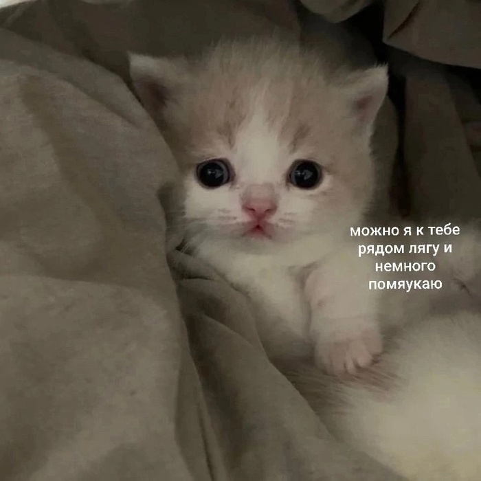  ! , , , , ,   