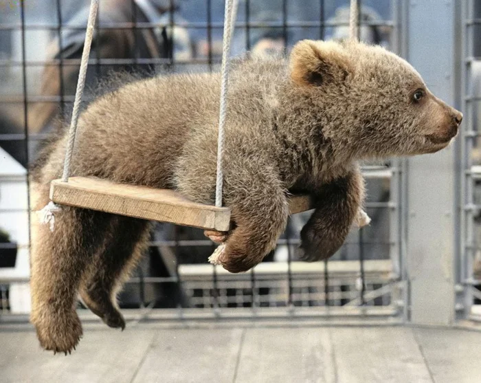 Любопытные фотографии из прошлого Великобритании. 20 раскрашенных фотографий ХХ века. Часть XIX Историческое фото, Старое фото, 20 век, Фотография, Великобритания, Англия, Лондон, Колоризация, Длиннопост