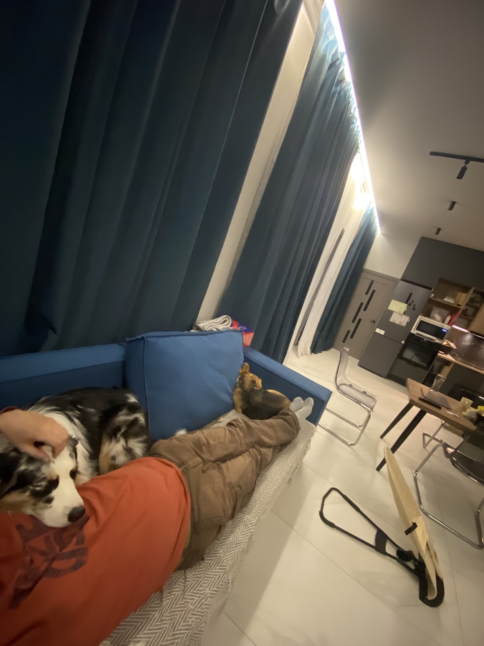  ,  , ,  , , , 