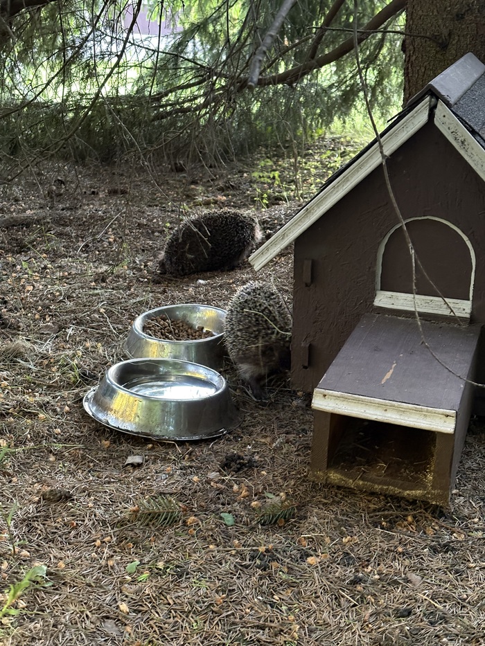 Первые шаги в большую жизнь.
