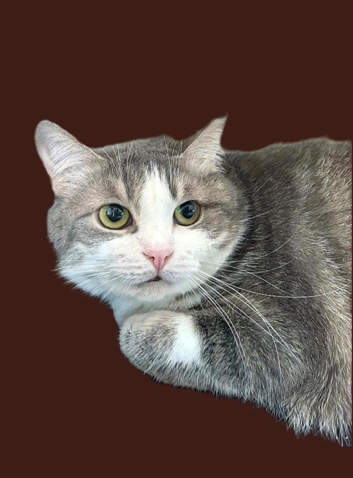   .    .    , ,   , ,  , ,  , 