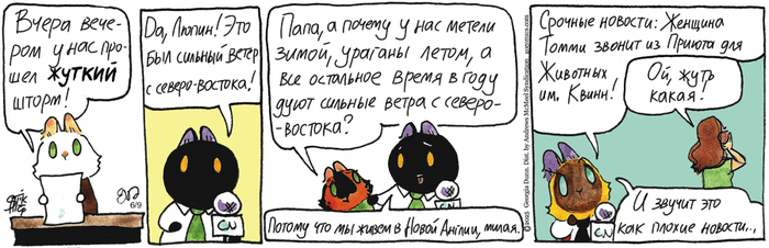    09.06.2025 ,   (), , 