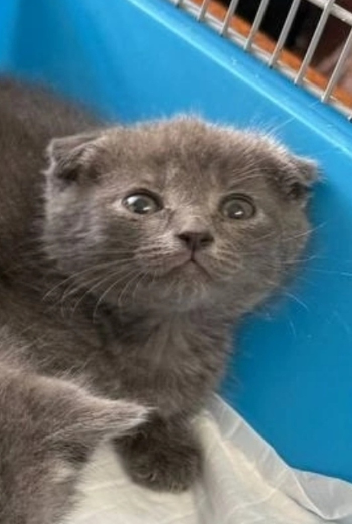     .    .   , , ,  , ,  , ,   , ,  ,  , 