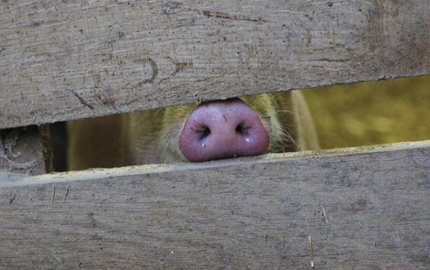 В связи с последними событиями в США, где-то южнее России: