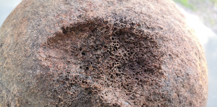             (  17  19)     .        ,           .