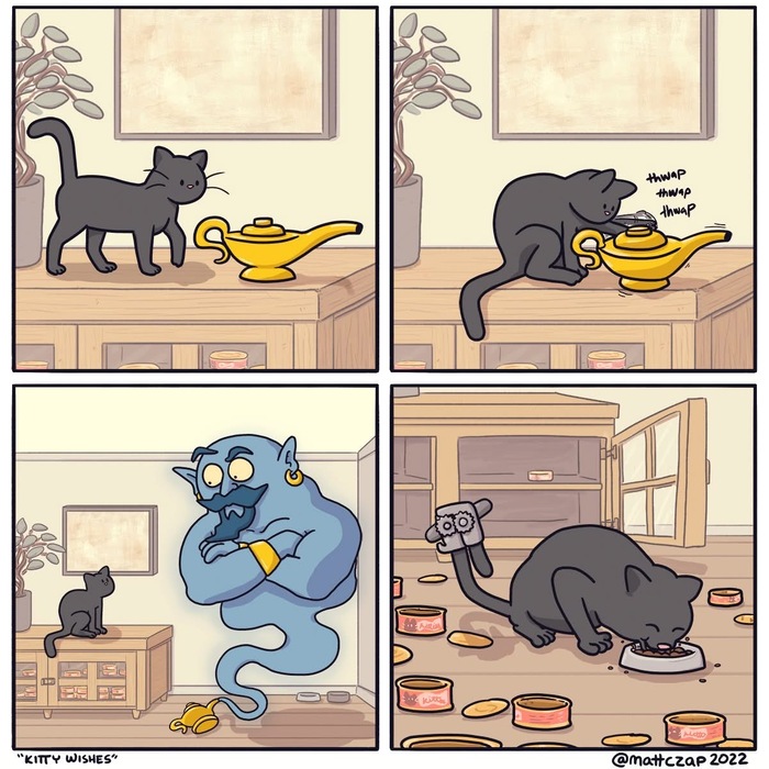  , , , Mattczap