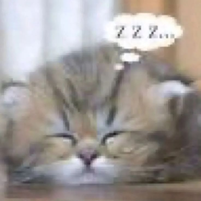     , , , , , , , ,  , , 