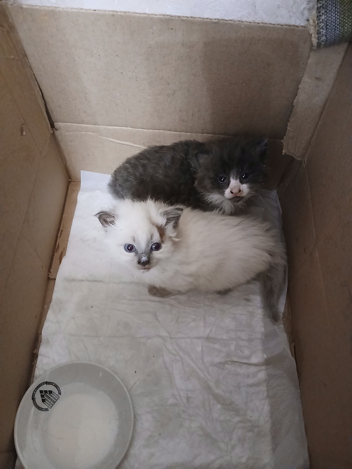    ,    , , ,  ,   , , , ,  , , , 