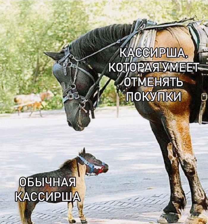,    , , , 