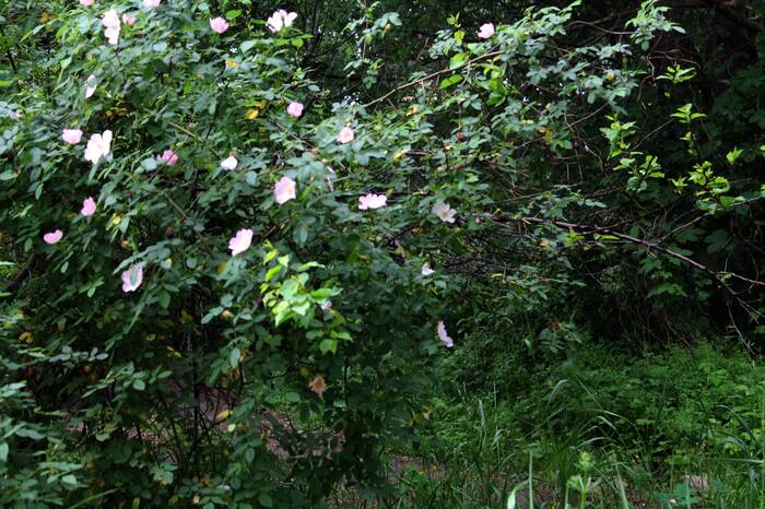 ���������� �������)