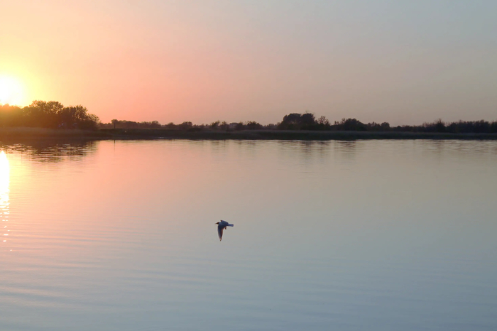 ����� �� ������