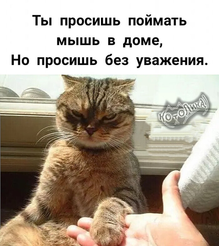      , , , ,  , , 