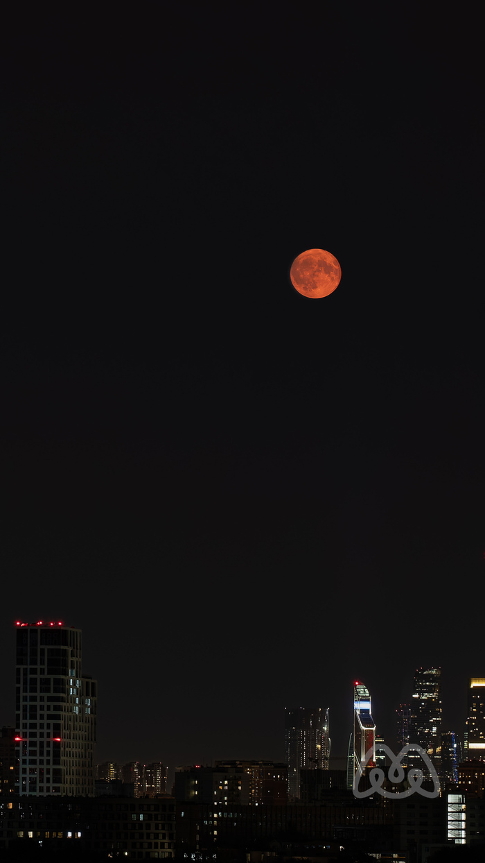 ������������ ���� ��� ������� ����� ������