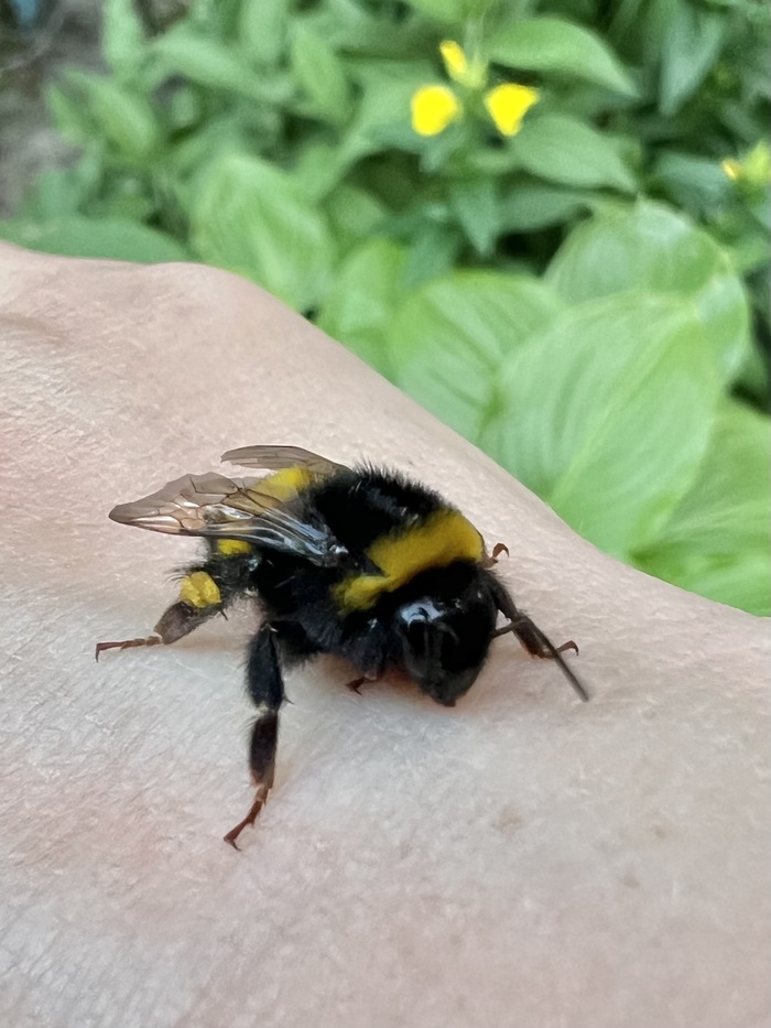 ,  ?   ?   ,       - .    . 