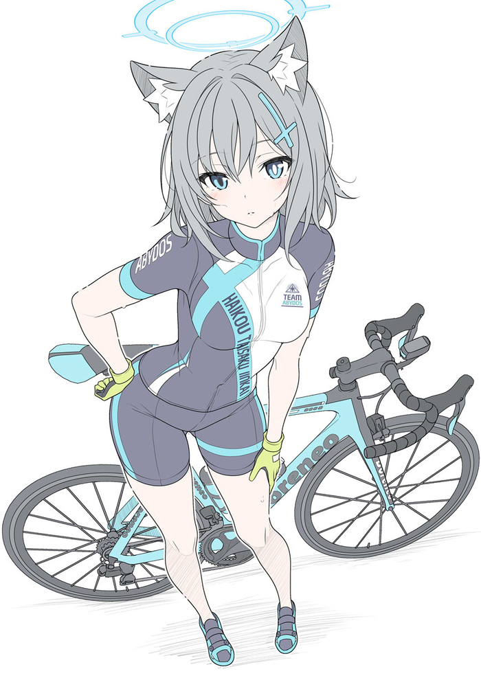 Shiroko Anime Art, , Blue Archive, Sunaookami Shiroko, T1kosewad, Animal Ears