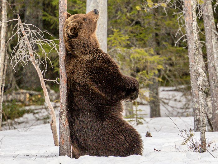    ,   .       ,        .