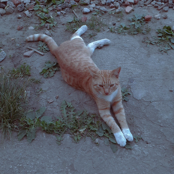 ����� �������� ���� ��� (��� � ���� � � �������)