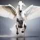 ������ ������������ MintPegasus