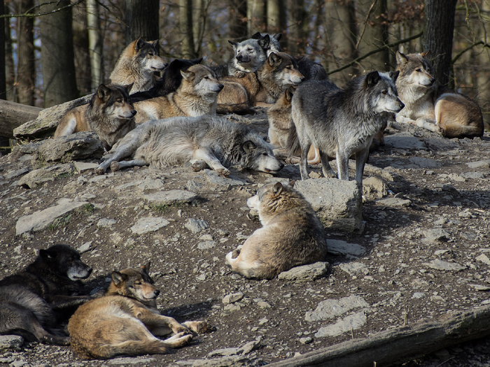            . ,      ,    ,        .