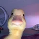 ����� ����� ������ ���� �����������