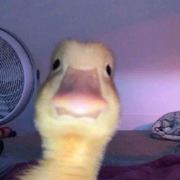 NicePSIX