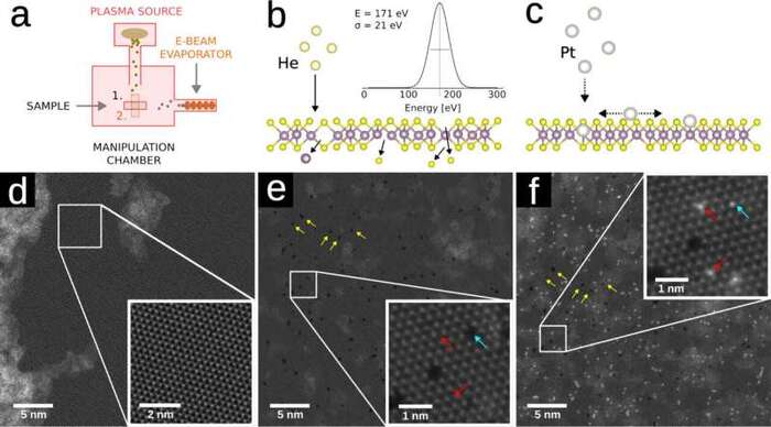 )     . )   . )   . )  HAADF-STEM   MoS2  .