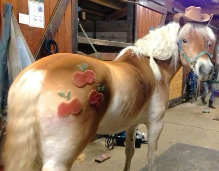   My Little Pony, Applejack