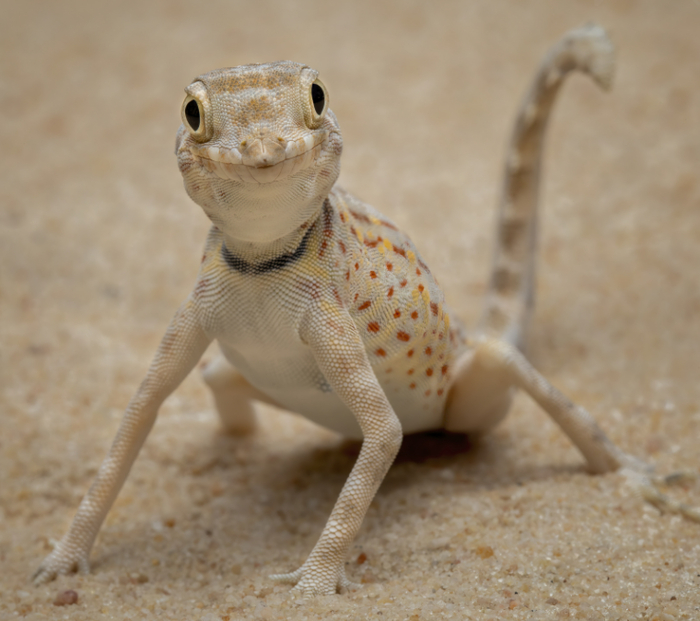 Я прям чувствую ауру угрозы...