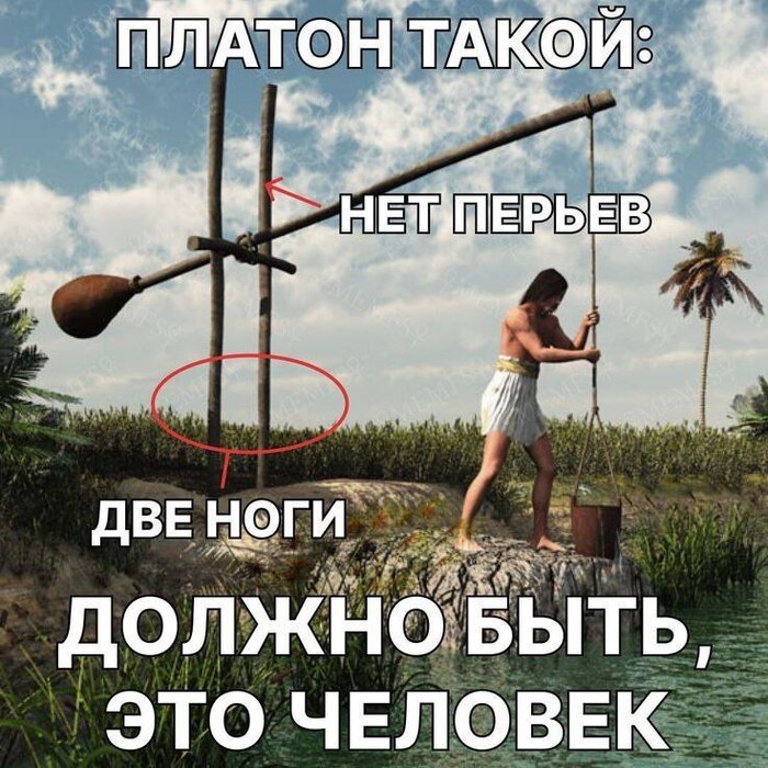      ,   ,  , 
