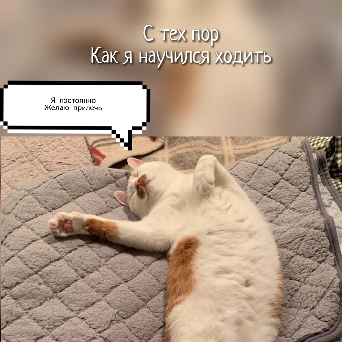   - ,  , ,  , , ,   , , 