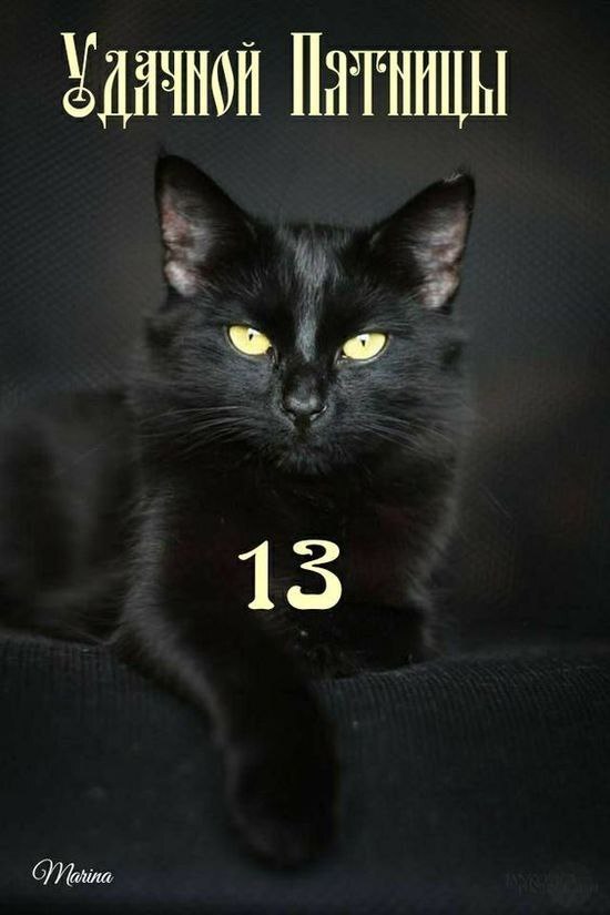   ,  13, ,  ,   