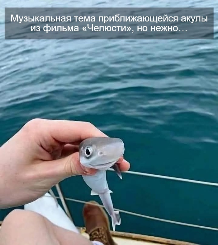  ) , ,   