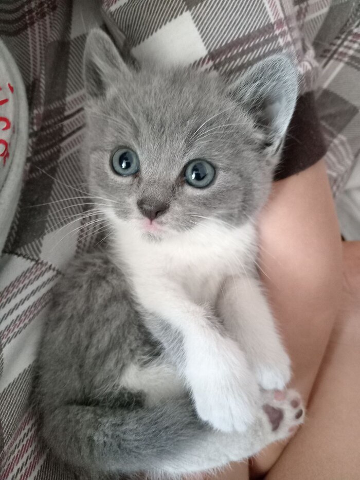            ,  , ,   ,  ,  ,  , , , , ,  , 