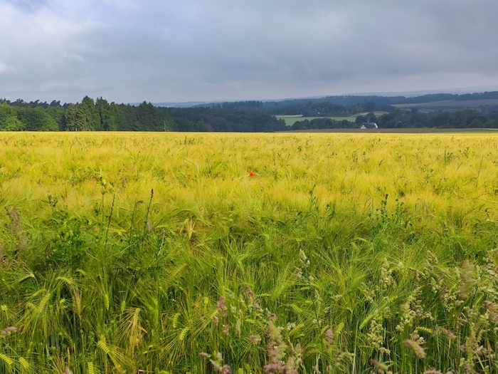 ���� ����� ����� ����� ����� �����