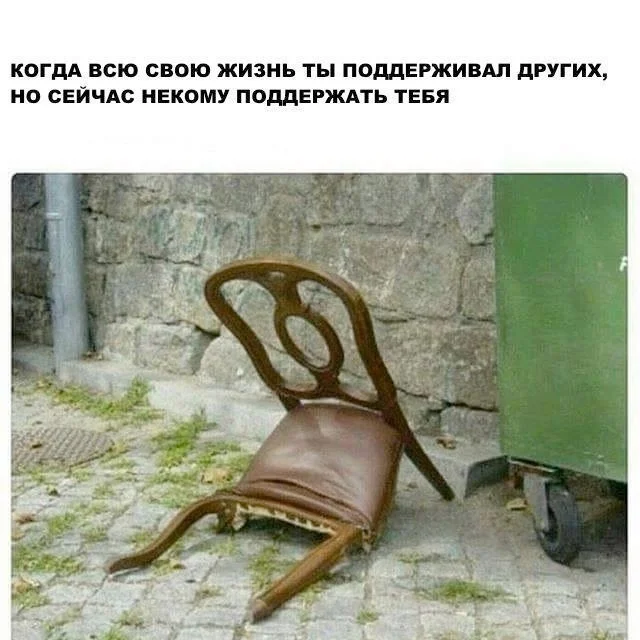 zmzn5rjk.webp