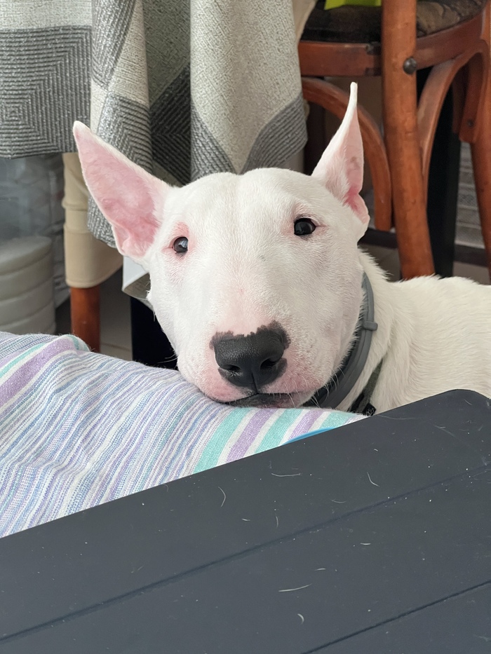      :     ,  ,             ,  ! 