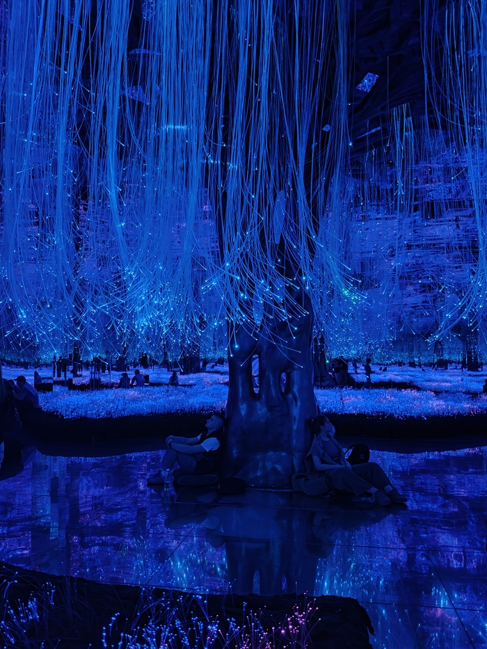 Часто видите Эйву в реальной жизни?