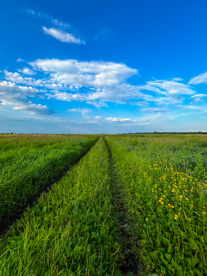 Где-то под Рязанью