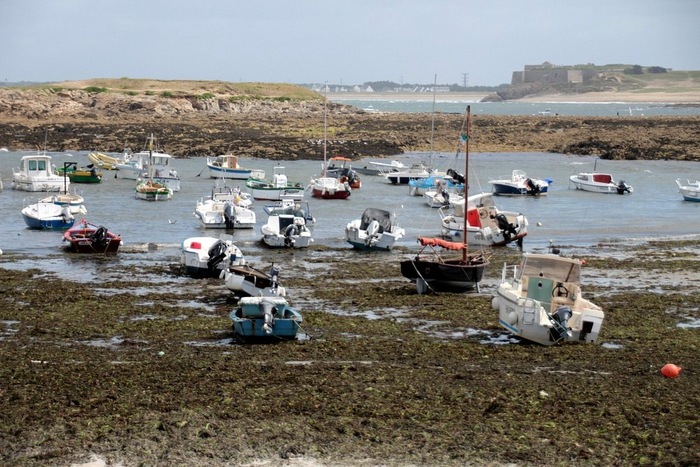    " "  . <!--noindex--><a href="https://pikabu.ru/story/nevidimyie_morekhodyi_kak_gaplogruppa_r1az280_perepisala_istoriyu_slavyanskoy_atlantidyi_12841407?u=https%3A%2F%2Fwww.tripadvisor.ru%2FAttraction_Review-g196531-d7140510-Reviews-Cote_Sauvage-Quiberon_Morbihan_Brittany.html&t=https%3A%2F%2Fwww.tripadvisor.ru%2FAttraction_Review-g196531-d714051...&h=208005780eed454484298e249c9763848d6e71fe" title="https://www.tripadvisor.ru/Attraction_Review-g196531-d7140510-Reviews-Cote_Sauvage-Quiberon_Morbihan..." target="_blank" rel="nofollow noopener">https://www.tripadvisor.ru/Attraction_Review-g196531-d714051...</a><!--/noindex-->