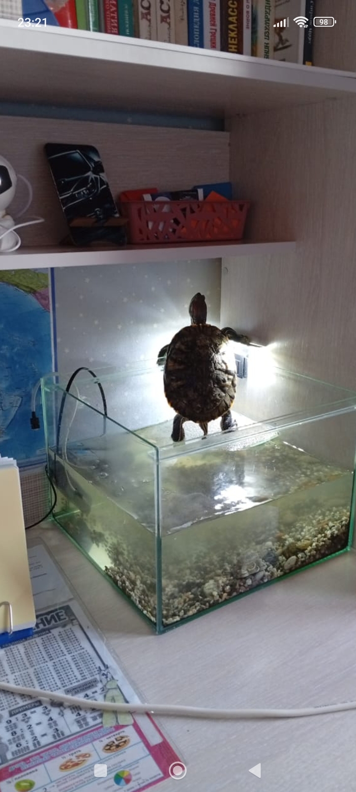 ���������-������!