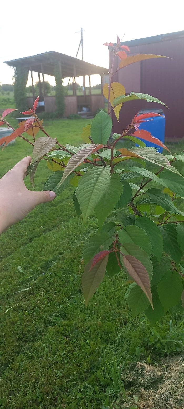  " ".   (  ).    ,    .